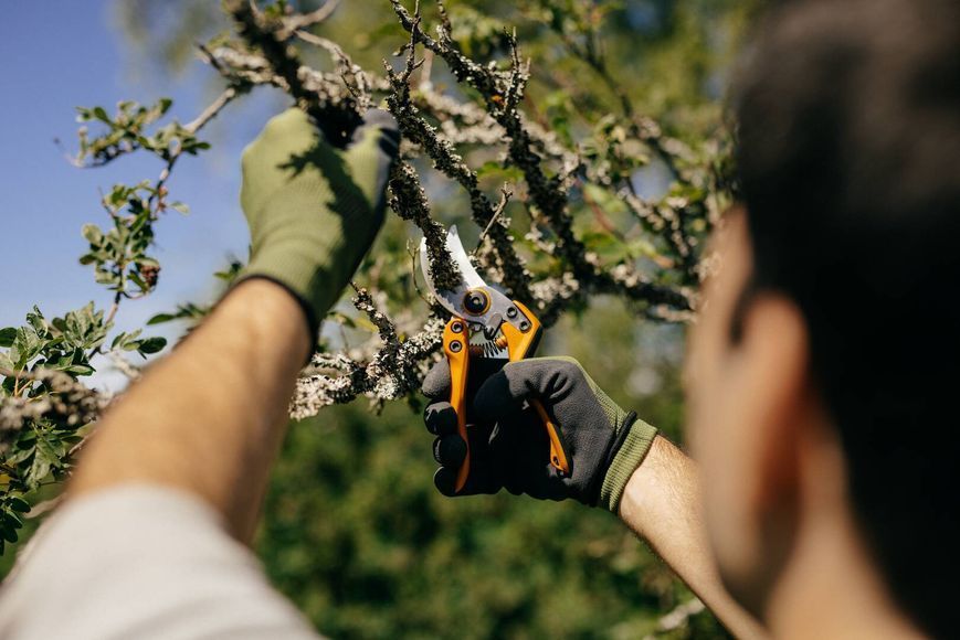 Професійний секатор Fiskars PB-8 середній 111850 (1020204) 1020204 фото