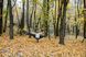 Гамак Tribe Hammock T-LE-0002 navi T-LE-0002-navy фото 2
