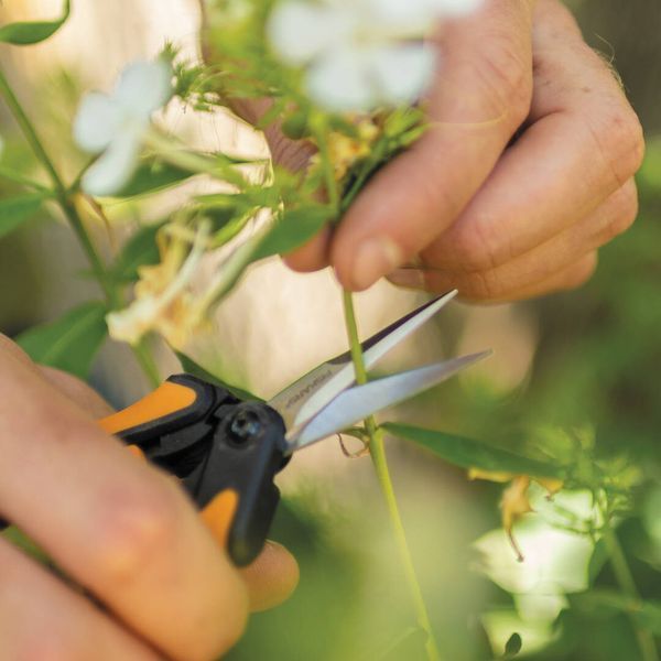 Ножиці Fiskars Solid &trade; Micro-Tip SP13 1051600 1051600 фото