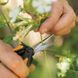 Ножиці Fiskars Solid &trade; Micro-Tip SP13 1051600 1051600 фото 5