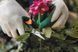 Ножницы Fiskars Solid&trade; Softgrip SP15 1051602 1051602 фото 6