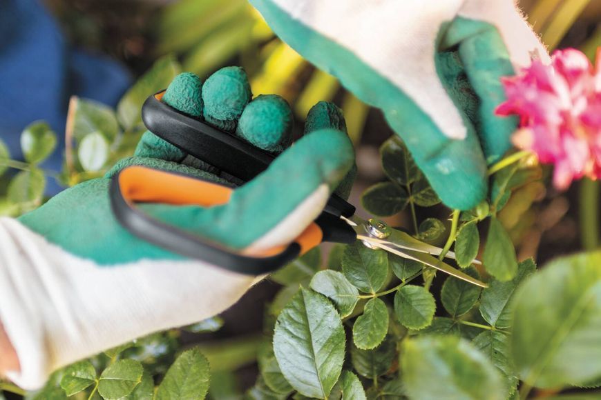 Ножницы Fiskars Solid&trade; Softgrip SP15 1051602 1051602 фото