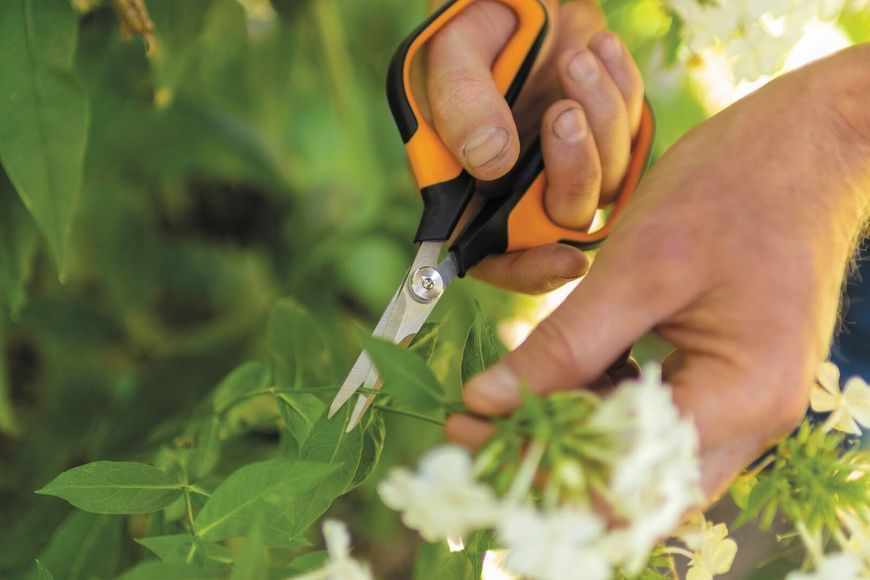 Ножницы Fiskars Solid&trade; Softgrip SP15 1051602 1051602 фото